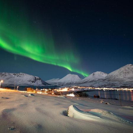 Tromtind Lodge Tromso Ngoại thất bức ảnh