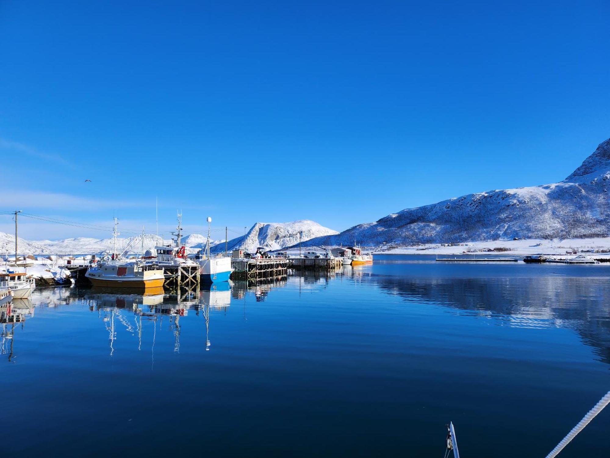 Tromtind Lodge Tromso Ngoại thất bức ảnh